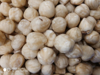 Fındık
