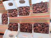 GÜNKURUSU KAYISI (JUMBO BOY)