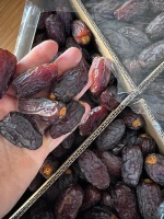 KUDÜS HURMASI (Menşei: Egypt)