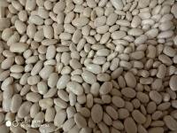 Kuru Fasulye (Doşanşehi̇r)