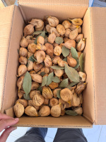 Kuru İnci̇r