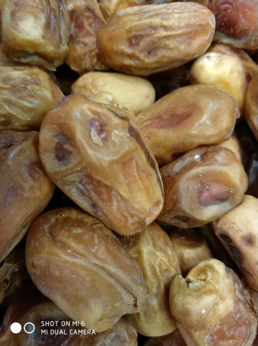 Bağdat Hurması