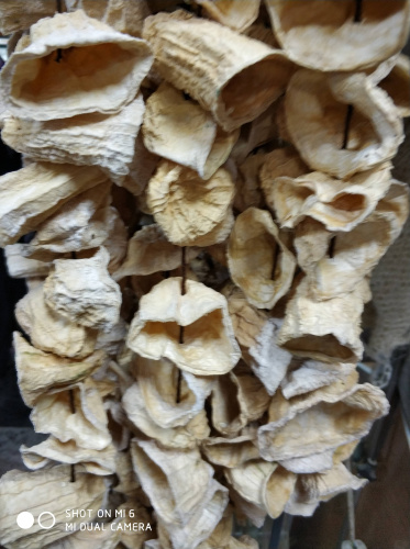 Dolmalık Salatalık