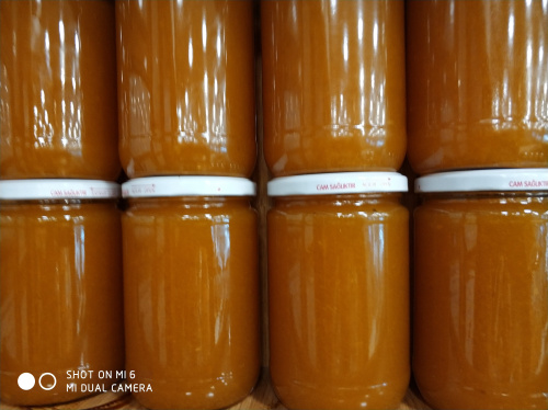 Kayısı Marmelatı