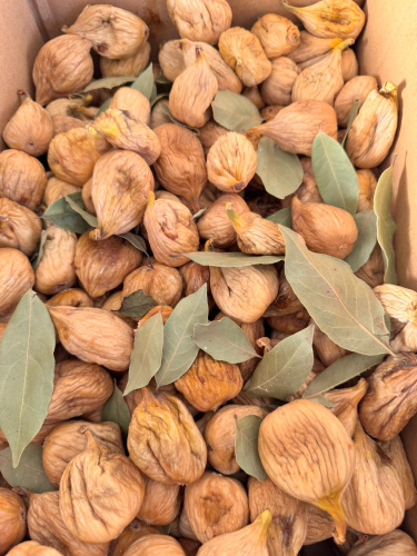 Kuru İnci̇r