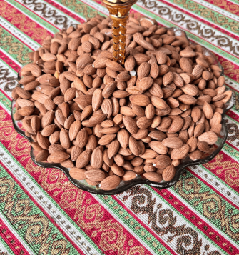 KAYISI ÇEKİRDEĞİ