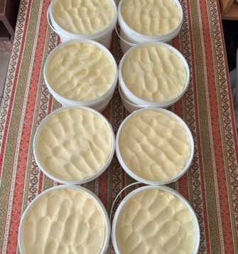 TEREYAĞI (TUZLU-TUZSUZ)